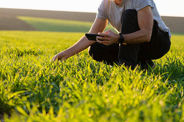 istockphoto 2207864429 612x612